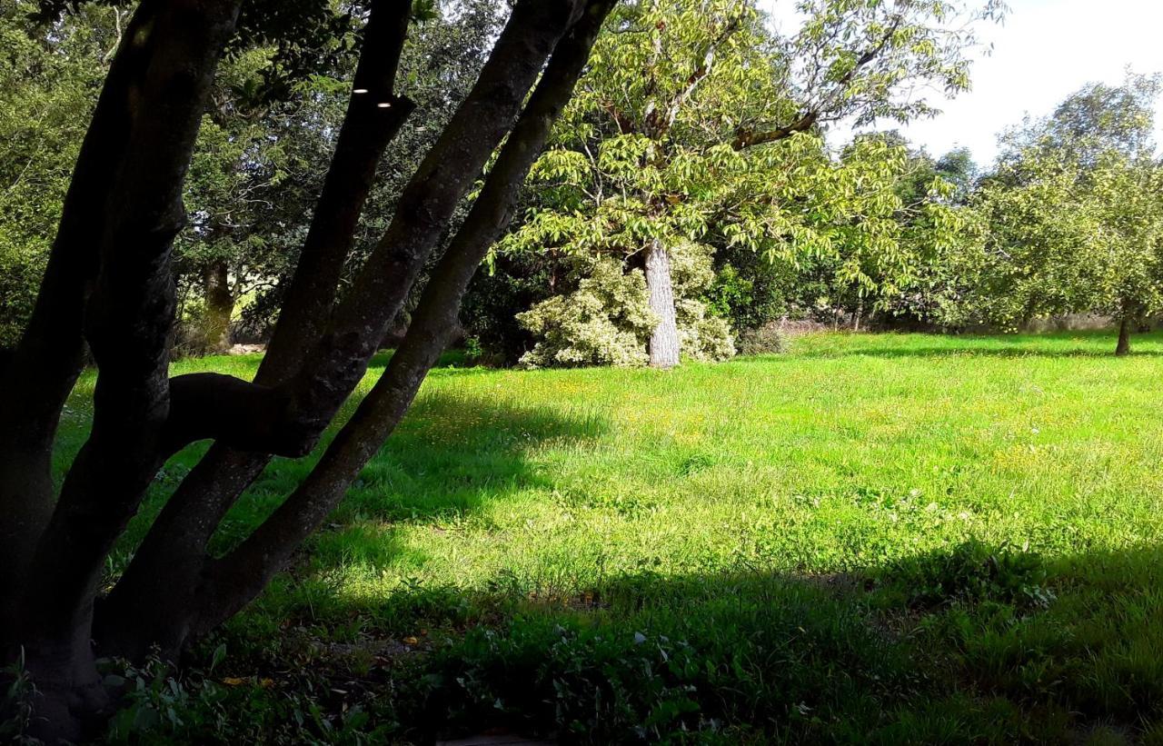 Domaine De La Tranquillite V Villa Noyal-Muzillac Eksteriør bilde